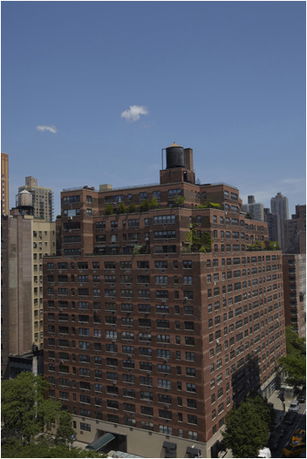 Building Images