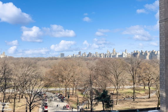 Panoramic view of a city skyline with a park in the foreground.