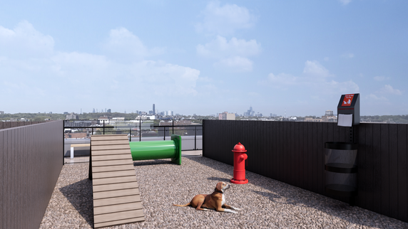 Rooftop view with a dog, obstacle course, and city skyline in the background.