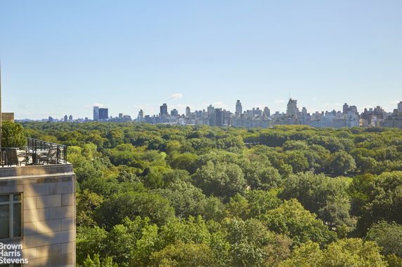 Panoramic view of city skyline and park with trees.