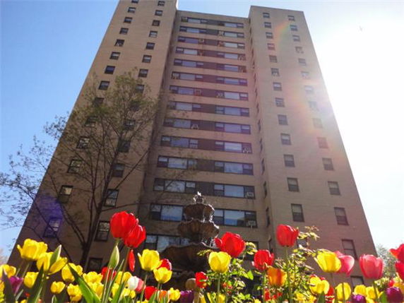 Front view of a tall residential building with multiple windows.