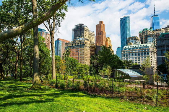 View of a city skyline from a park with trees and grass.