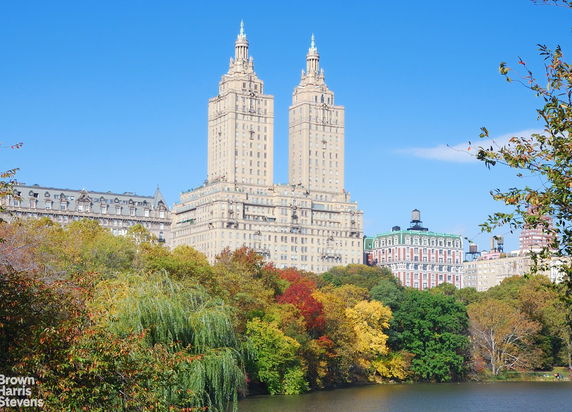 View of skyscrapers seen from a park with trees and a lake.