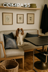 nyrebny2/f5256d8ab7f9e84ef3ae4a4d7ba78c92.jpg?width=131&height=105&format3=webp