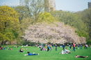 nyrebny2/fb87e502dcb32875eac0378c870d19ac.jpg?width=131&height=105&format3=webp