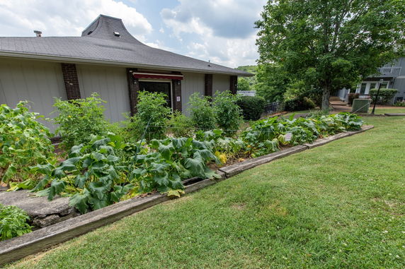 Front view of a building with a sloped roof and surrounding garden.