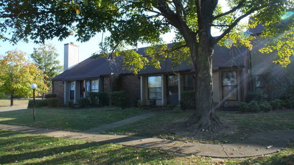 Community Image
