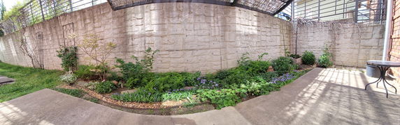 Panoramic view of a garden area with a stone wall and various plants.