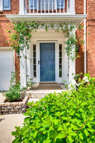 Front view of a house entrance with a door and surrounding greenery.
