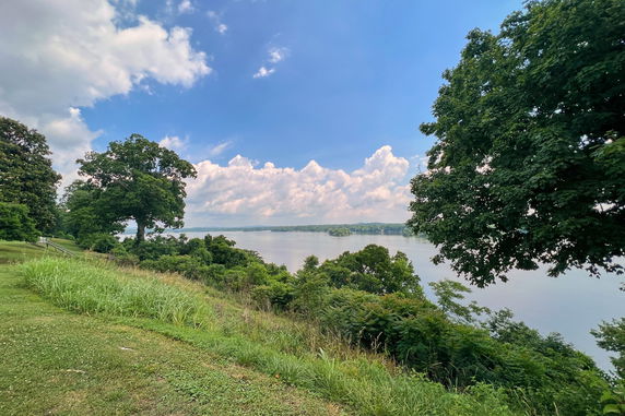 Panoramic view of a river surrounded by trees and grassy areas under a blue sky with clouds.
