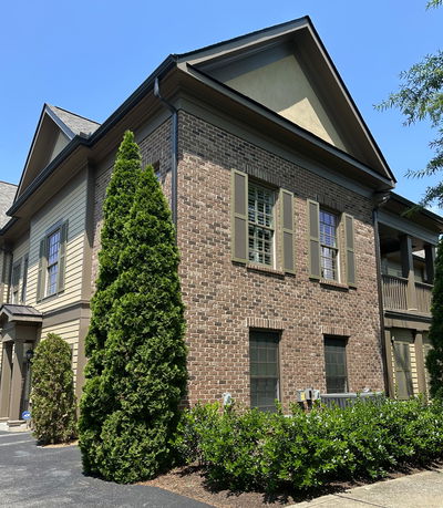Community Image