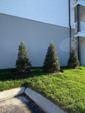 Front view of a building with a brick wall and bushes in front.