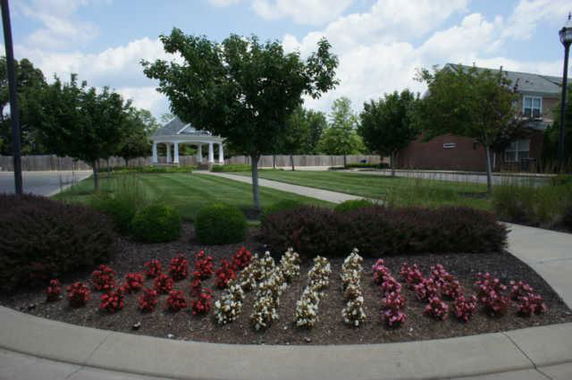 View of landscaped garden area with trees, flowers, and a walking path.