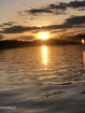 tnrealtrac/8ffc46da1bff12852eff8da1e51fb85a.jpg?width=131&height=105&format3=webp