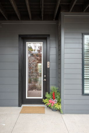 Front view of a modern house entrance with a dark-framed glass door and gray siding.