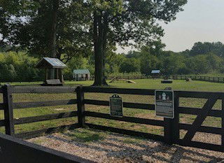 Outdoor fenced area with trees and small structures.