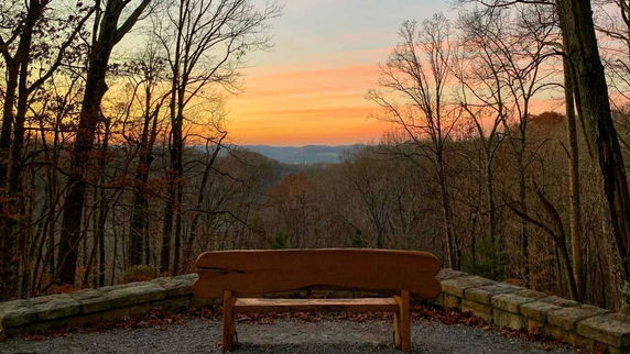 Scenic view from a bench overlooking a wooded area at sunset.
