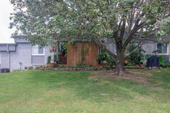 Front view of a single-story house with a brick exterior and a large tree in the yard.
